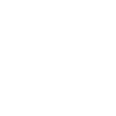 Anonymous Manatee